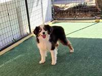 processed/8ee30e57-3f48-4174-9c95-e8025ab34098/facility/8949dd07-cfbf-4950-ba2d-34ecd7d79822