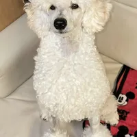 processed/8ee30e57-3f48-4174-9c95-e8025ab34098/facility/91406364-4738-4276-8ebe-31bf1e01ee6e