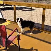 processed/8ee30e57-3f48-4174-9c95-e8025ab34098/facility/937e304b-c9b7-4f16-a232-5a81b988a171