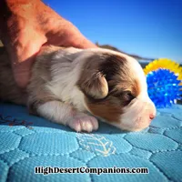 processed/8ee30e57-3f48-4174-9c95-e8025ab34098/listing/50a83146-e77f-4199-866a-149fd3e8e7f2/0c63235e-adcd-4b5c-b61c-4ef299c94a71