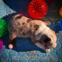 processed/8ee30e57-3f48-4174-9c95-e8025ab34098/listing/50a83146-e77f-4199-866a-149fd3e8e7f2/2cdf4380-1cc9-433f-933b-fed371074f3f