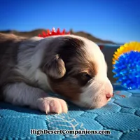 processed/8ee30e57-3f48-4174-9c95-e8025ab34098/listing/50a83146-e77f-4199-866a-149fd3e8e7f2/55e0aa94-b2c7-47ca-8bad-5a2f2a54a40d