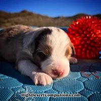 processed/8ee30e57-3f48-4174-9c95-e8025ab34098/listing/50a83146-e77f-4199-866a-149fd3e8e7f2/567b11d2-a57a-4a3e-b718-6f9279ba4dac