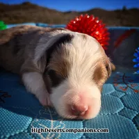 processed/8ee30e57-3f48-4174-9c95-e8025ab34098/listing/50a83146-e77f-4199-866a-149fd3e8e7f2/747a7a24-09ca-4c31-b673-6fabc8dbae5f