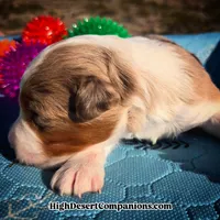 processed/8ee30e57-3f48-4174-9c95-e8025ab34098/listing/50a83146-e77f-4199-866a-149fd3e8e7f2/97668143-cb1a-4fdd-b059-d6979fea3a88