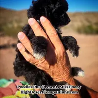 processed/8ee30e57-3f48-4174-9c95-e8025ab34098/listing/65e2c641-1a8d-4bc2-969d-a5c52a4ade8c/16ea916b-fc23-44f4-bb06-60147d8568c0