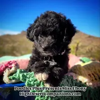 processed/8ee30e57-3f48-4174-9c95-e8025ab34098/listing/65e2c641-1a8d-4bc2-969d-a5c52a4ade8c/3243ed61-1b37-4e8d-a11b-567ca372eced