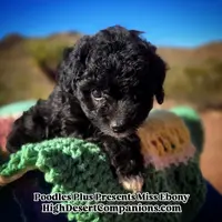 processed/8ee30e57-3f48-4174-9c95-e8025ab34098/listing/65e2c641-1a8d-4bc2-969d-a5c52a4ade8c/36d1708d-8d3a-43ac-99ed-783d9dd782c6