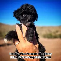 processed/8ee30e57-3f48-4174-9c95-e8025ab34098/listing/65e2c641-1a8d-4bc2-969d-a5c52a4ade8c/5527530b-0bb4-4ced-a9a2-a59061d054b5