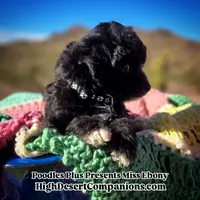 processed/8ee30e57-3f48-4174-9c95-e8025ab34098/listing/65e2c641-1a8d-4bc2-969d-a5c52a4ade8c/61264940-58d7-4ea5-92ba-a3434716cbe8