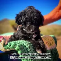 processed/8ee30e57-3f48-4174-9c95-e8025ab34098/listing/65e2c641-1a8d-4bc2-969d-a5c52a4ade8c/9b117fb5-e624-4e57-aa8e-46e471e5ed67