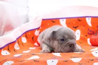 processed/8efc3dca-515c-43b9-916b-68ec9767e295/listing/65c6826a-a54b-4eb0-b376-fb07f6660cf3/1572213c-c01c-4eff-9da2-638a2ed7af6c