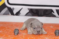 processed/8efc3dca-515c-43b9-916b-68ec9767e295/listing/65c6826a-a54b-4eb0-b376-fb07f6660cf3/342292e7-4afc-4061-89ae-35577563239c