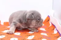 processed/8efc3dca-515c-43b9-916b-68ec9767e295/listing/65c6826a-a54b-4eb0-b376-fb07f6660cf3/390d2186-782c-4a81-8718-cc285b4a3ed8