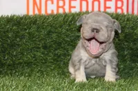 processed/8efc3dca-515c-43b9-916b-68ec9767e295/listing/65c6826a-a54b-4eb0-b376-fb07f6660cf3/712a75d7-b78b-458c-ae59-1b331aeb0df2