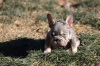 processed/8efc3dca-515c-43b9-916b-68ec9767e295/listing/65c6826a-a54b-4eb0-b376-fb07f6660cf3/8716ad23-1c18-459f-a268-8fc74a25eeee