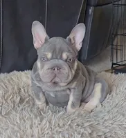 processed/8efc3dca-515c-43b9-916b-68ec9767e295/listing/65c6826a-a54b-4eb0-b376-fb07f6660cf3/fb3c52f2-42cc-4b92-9801-5552a8bc0785