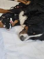 processed/8f0fa615-4ed6-4db6-bf23-470538d49bdd/facility/14cdb7c5-58a9-4c68-8928-055beacd0e09