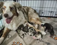 processed/8f0fa615-4ed6-4db6-bf23-470538d49bdd/facility/3c2935c5-2260-444b-94e1-a0d8e08e2cf7