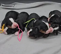 processed/8f0fa615-4ed6-4db6-bf23-470538d49bdd/facility/a4b1323a-975e-4682-af91-038db293fbb9