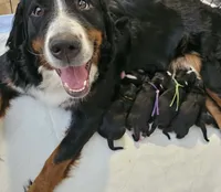 processed/8f0fa615-4ed6-4db6-bf23-470538d49bdd/facility/e6fb6a00-8814-4b0a-9221-26cc4dbf492b