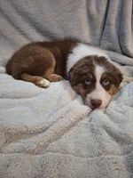 processed/8f0fa615-4ed6-4db6-bf23-470538d49bdd/listing/5c8fc789-6aa5-4de7-b583-fd95306eb0fb/953b8ec7-0df0-404e-b1b1-319a39d280d6