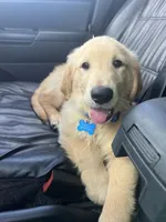 processed/8f127b0c-7aa3-42bc-afe6-5ccfe5882a88/facility/eb23f37c-acdb-442c-b5c1-84e5ca3d15fc