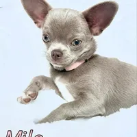 processed/8f181d3b-df23-41df-973e-61f2dec8af64/facility/0e5f1869-85a4-4c9e-903c-4c713334df9a