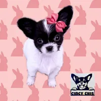 processed/8f181d3b-df23-41df-973e-61f2dec8af64/facility/24878854-2c3f-4bec-91ee-47a390159f58