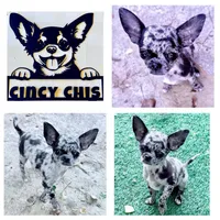 processed/8f181d3b-df23-41df-973e-61f2dec8af64/facility/41edeadf-3925-4f41-ae45-b7390834025a