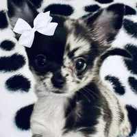 processed/8f181d3b-df23-41df-973e-61f2dec8af64/facility/41f743ad-78cd-42f5-ab80-f4db1eecf079