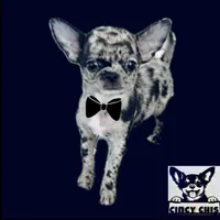 processed/8f181d3b-df23-41df-973e-61f2dec8af64/facility/499c64cf-5d10-4741-bd1e-fa0159738f74