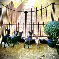 processed/8f181d3b-df23-41df-973e-61f2dec8af64/facility/6966ca5e-a566-4f49-b889-50cf5cece552