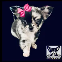 processed/8f181d3b-df23-41df-973e-61f2dec8af64/facility/6c471d4b-40b9-48c3-b63f-e715dd346848