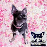 processed/8f181d3b-df23-41df-973e-61f2dec8af64/facility/8240426d-9c35-4ae4-a438-e820752aa961