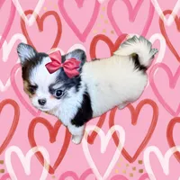 processed/8f181d3b-df23-41df-973e-61f2dec8af64/facility/c8bd0052-342e-4972-a7ff-147b44db06e1