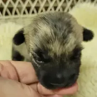 processed/8f19efab-fd31-4915-b8dd-503184fdaac7/facility/304fad34-ea17-4a5b-8703-aa7338532ad3