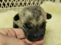 processed/8f19efab-fd31-4915-b8dd-503184fdaac7/facility/304fad34-ea17-4a5b-8703-aa7338532ad3