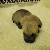 processed/8f19efab-fd31-4915-b8dd-503184fdaac7/facility/4c1c4de1-fe83-4165-a1f0-330155305b68