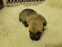 processed/8f19efab-fd31-4915-b8dd-503184fdaac7/facility/4c1c4de1-fe83-4165-a1f0-330155305b68