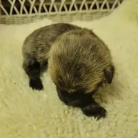 processed/8f19efab-fd31-4915-b8dd-503184fdaac7/facility/cfa3f8aa-5de6-49e2-8066-4e89f54cf745