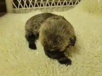 processed/8f19efab-fd31-4915-b8dd-503184fdaac7/facility/cfa3f8aa-5de6-49e2-8066-4e89f54cf745