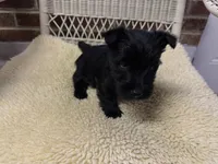 processed/8f19efab-fd31-4915-b8dd-503184fdaac7/listing/79de7021-1558-4d9f-bbe0-e52e04dbd220/07d56593-56de-40dd-af00-0bbd0ef3a4f0