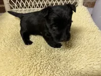 processed/8f19efab-fd31-4915-b8dd-503184fdaac7/listing/79de7021-1558-4d9f-bbe0-e52e04dbd220/fa60f134-7edc-4665-a994-83cd9b058f33