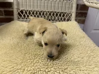 processed/8f19efab-fd31-4915-b8dd-503184fdaac7/listing/b1043129-a817-42de-b636-56cf824c8fc7/4aa1a96c-ea94-4f16-b41d-88db052bb2cd