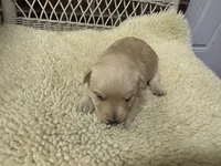 processed/8f19efab-fd31-4915-b8dd-503184fdaac7/listing/b1043129-a817-42de-b636-56cf824c8fc7/cec0bae2-2119-4f62-9a08-7ee5eeffc7d0