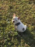 processed/8f392b71-81b0-48be-ad31-63bbd68eef0a/listing/593a2daa-7d11-4df9-b4eb-d4df85c046aa/7d466269-e039-41af-8a96-3720babbe2c9