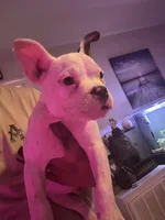 processed/8f392b71-81b0-48be-ad31-63bbd68eef0a/listing/593a2daa-7d11-4df9-b4eb-d4df85c046aa/a92d8c02-7489-4136-910d-46f41dfb022d