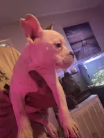 processed/8f392b71-81b0-48be-ad31-63bbd68eef0a/listing/593a2daa-7d11-4df9-b4eb-d4df85c046aa/eb4781a6-18e6-40f5-9b5b-62040087b85d