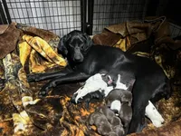 processed/8f392b71-81b0-48be-ad31-63bbd68eef0a/listing/9cf01ae7-01c6-4a2b-ba01-2afc74b78a41/19b56eff-93fd-4836-a428-0da888e3ebb0